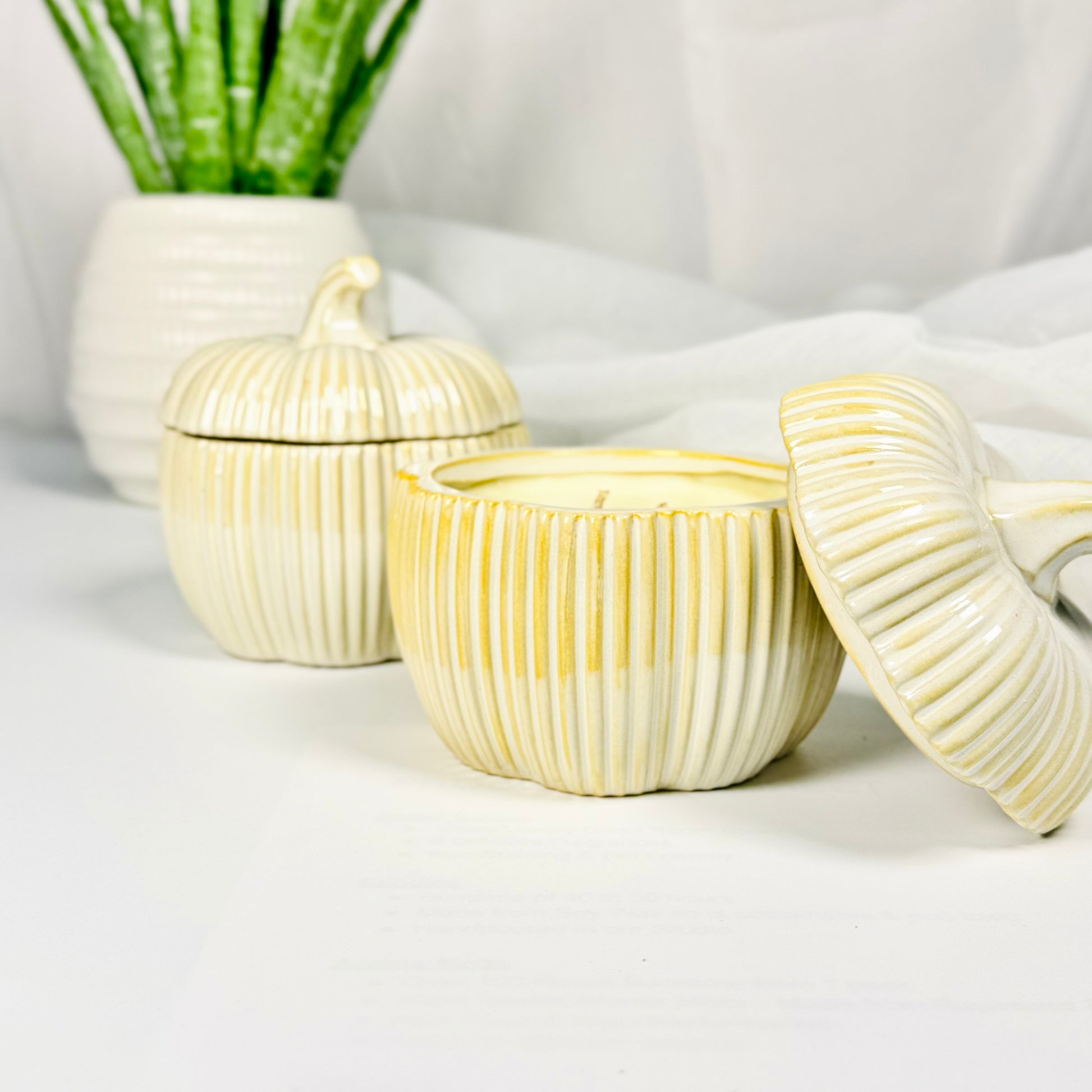 Autumnal Pumpkin Candle & Aroma Melts