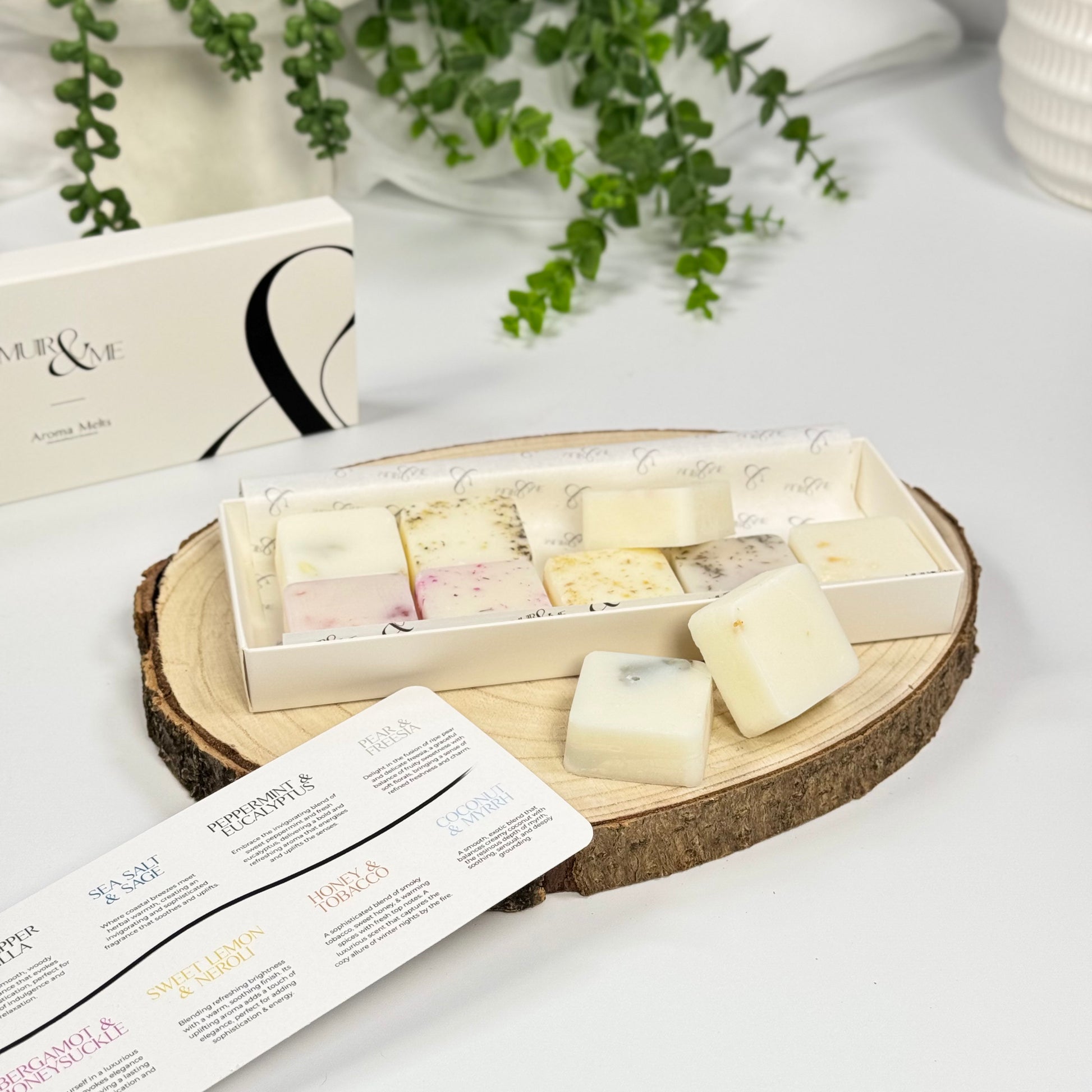 Discovery Collection Wax Melts/Aroma Melts