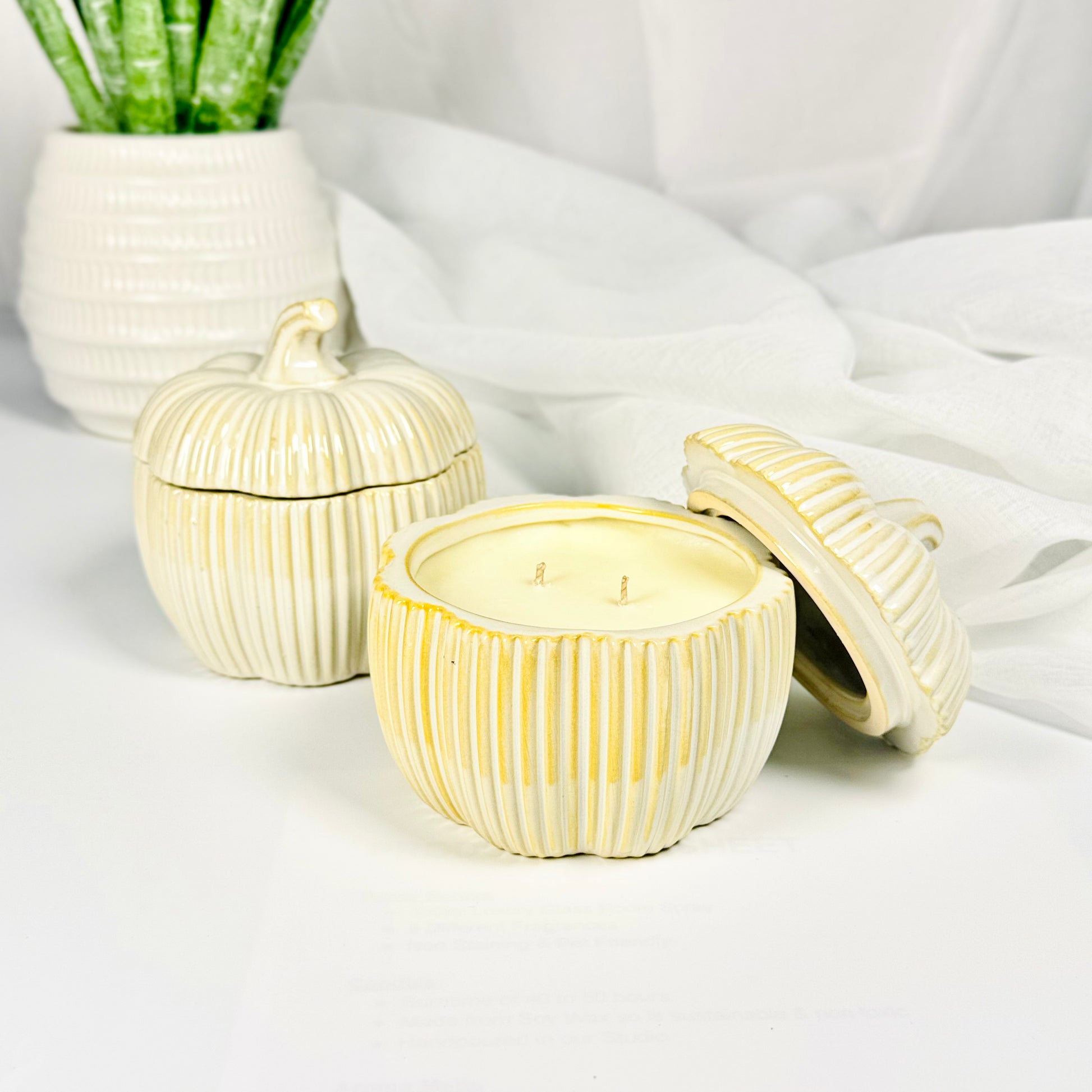 Autumnal Pumpkin Candle & Aroma Melts